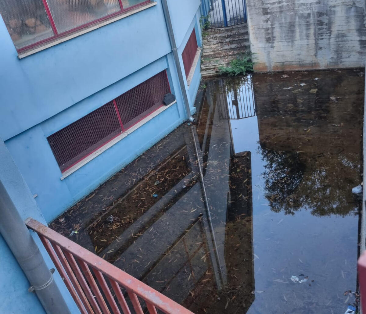 Aprilia - A proposito di West Nile e di raccomandazioni ad evitare ristagni d'acqua - 