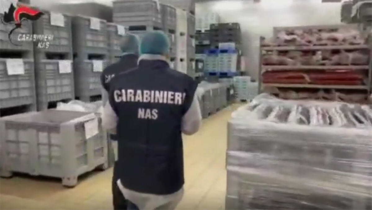 Stretta del NAS di Latina su strutture ricettive e attività alimentari della provincia. Riscontrate gravi irregolarità. - 