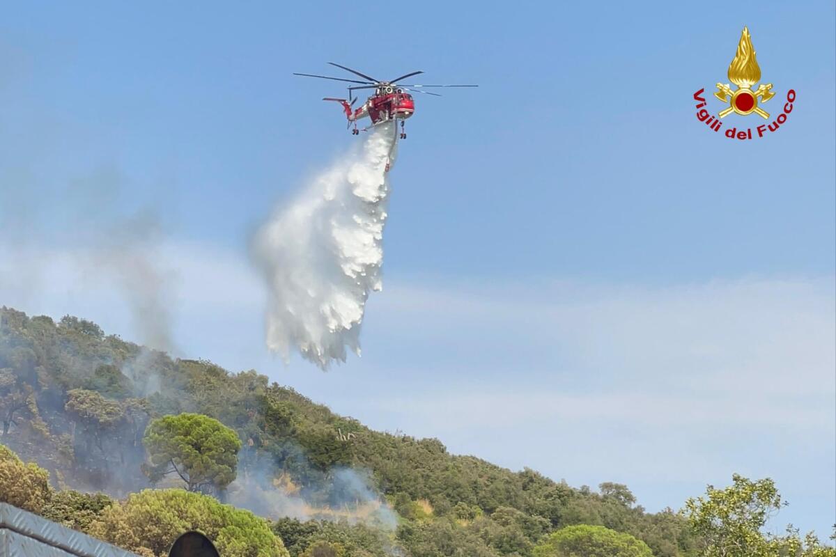 Vasto incendio boschivo nel Comune di Priverno, in località Maccalè. 50 ettari di vegetazione in fumo. - 