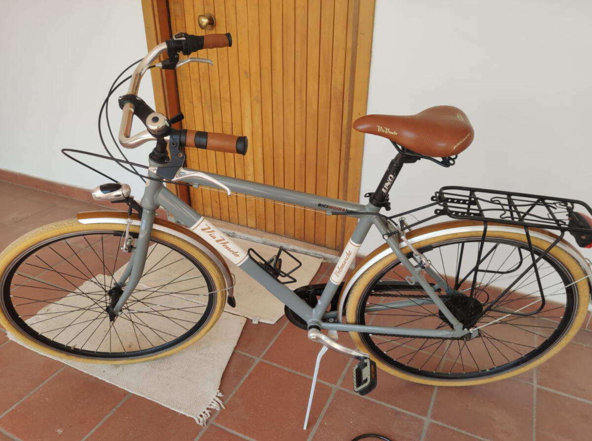 Aprilia - Ripresi mentre rubano la bici: "Ci portavo in giro mio figlio. Restituitela" - 