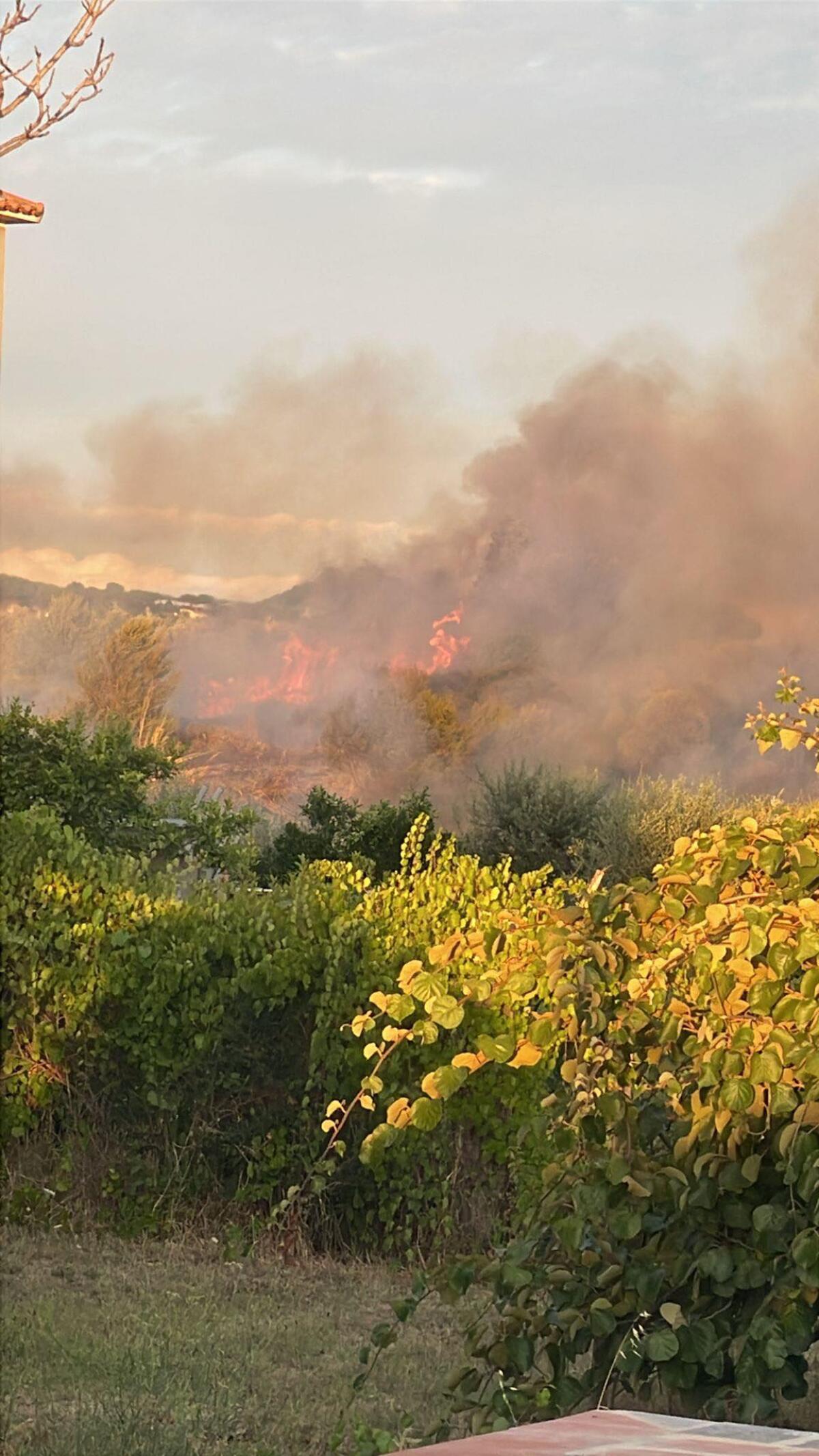 Incendio in un campo incolto ad Albano - 