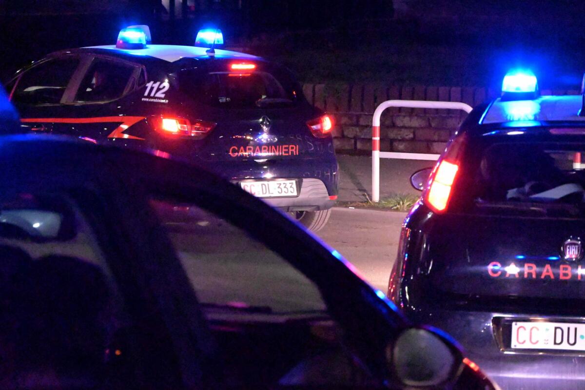 Riciclaggio di auto rubate tra Lazio, Campania e Calabria. I Carabinieri di Pomezia arrestano un 35enne. - 
