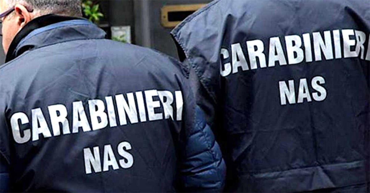 Rischio botulino. Il Nas di Latina ispeziona i truck dello street food: polpette scadute e sporcizia - 