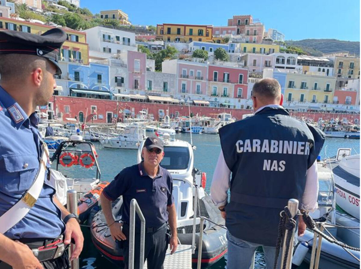 100 kg di mozzarella conservati in pessimo stato, il controllo del Nas a Ponza - 