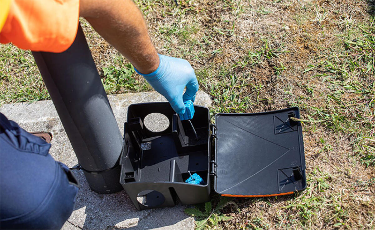 Derattizzazione “Pest control” nel territorio comunale di Cisterna e nei plessi scolastici. - 