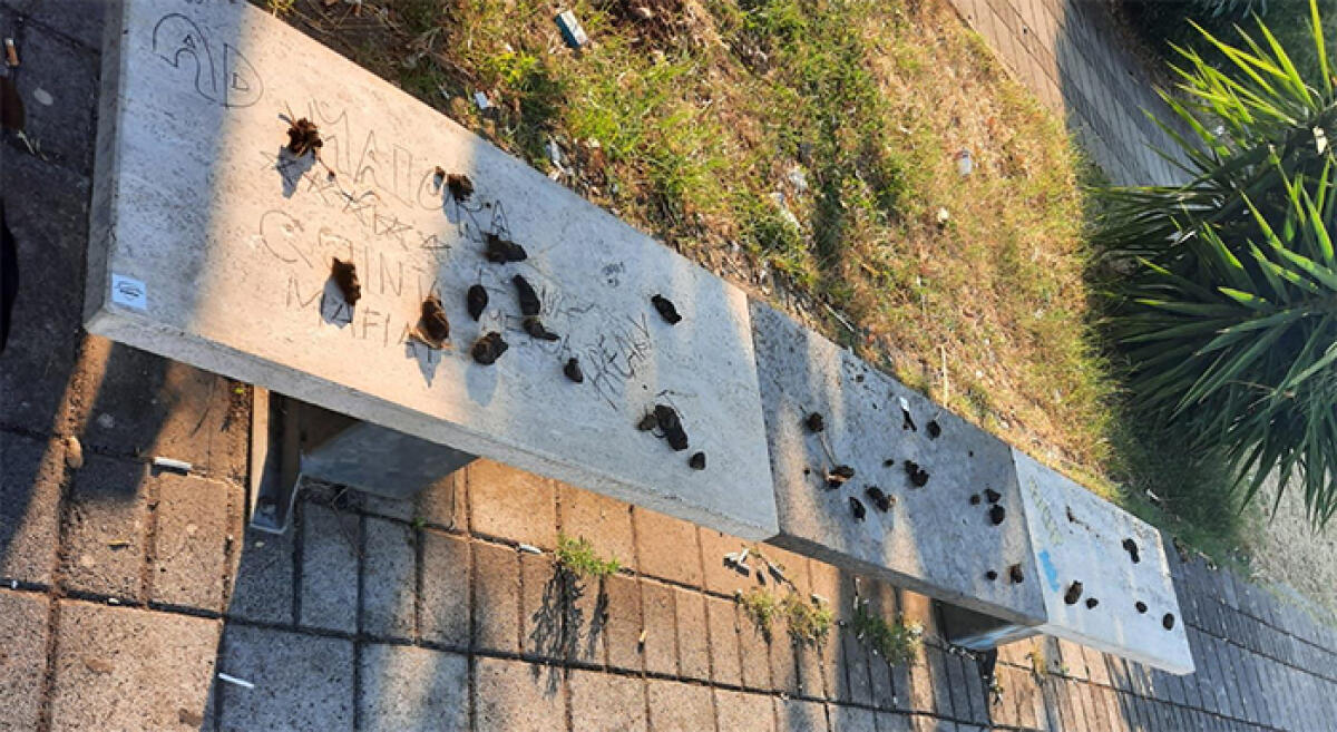 Escrementi, molto probabilmente umani, cosparsi sulle panchine a Cisterna. - 
