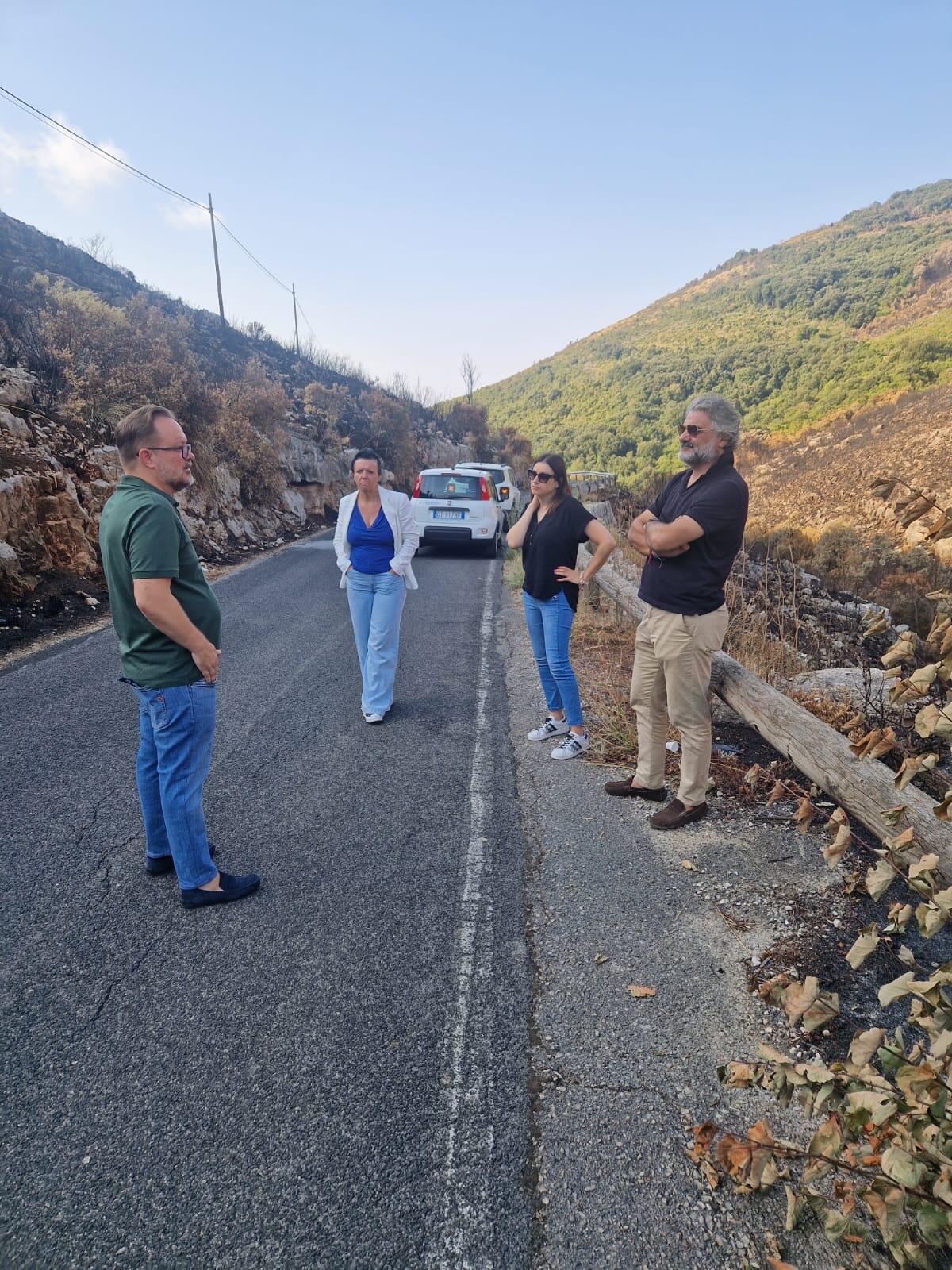 Strada Provinciale Campo Soriano, il sopralluogo dopo l’incendio della vigilia di Ferragosto - 