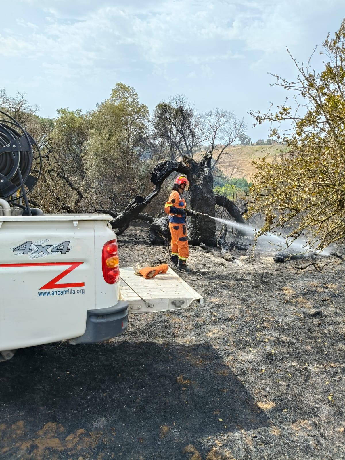 Le fiamme tornano ad alimentarsi alla Riserva Naturale della Sughereta, a Pomezia. - 
