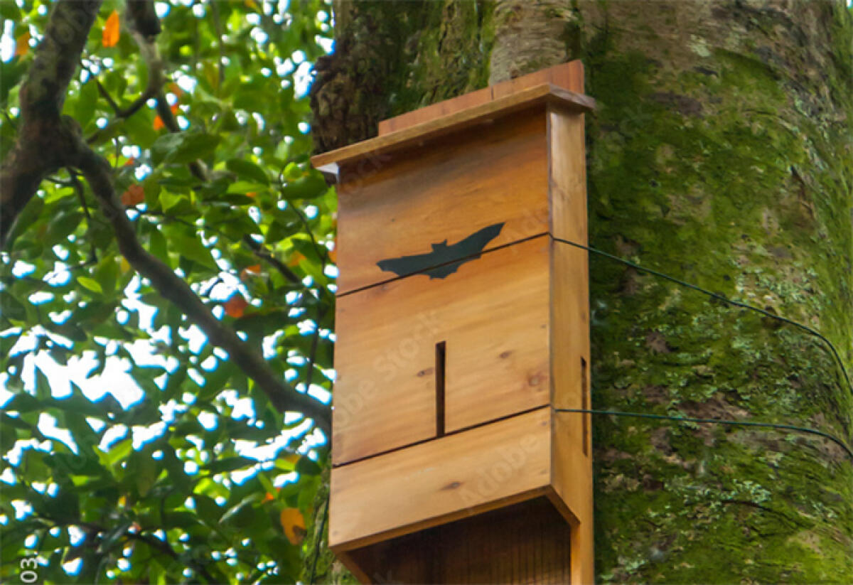 Disinfestazione ad Aprilia, Ragusa (M5S): “l’alternativa c’è e l’avevamo proposta!”. - 