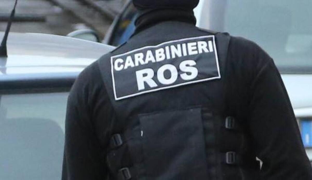 Operazione “Anemone” dei Carabinieri del ROS. Catturati ad Ibiza 3 latitanti colpiti da Mandato di Arresto Europeo. - 