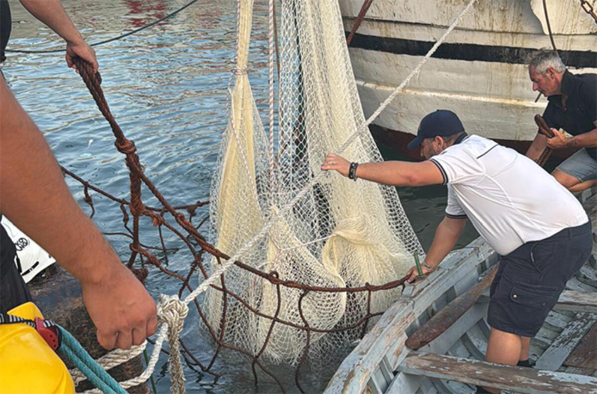 A Gaeta il ritrovamento in mare di altre due dolia di epoca romana. A recuperarle, lo stesso peschereccio del 2017. - 