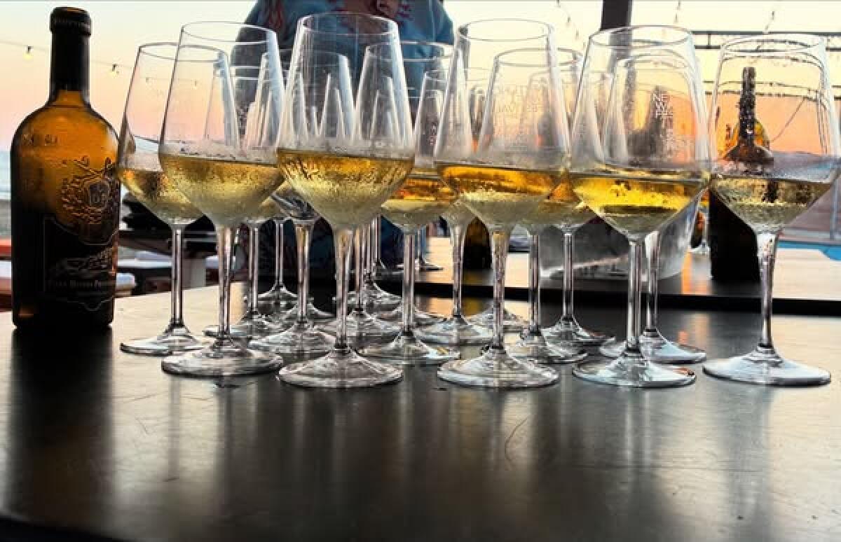 “Nettuno Wine Festival”: al via l’Ottava Edizione. Ecco tutte le curiosità. - 