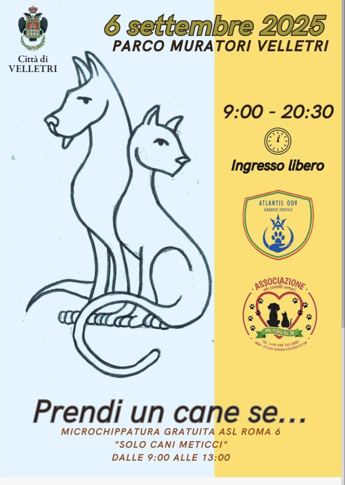 "Prendi un cane se...": appuntamento solidale a Velletri in favore dei meticci. - 