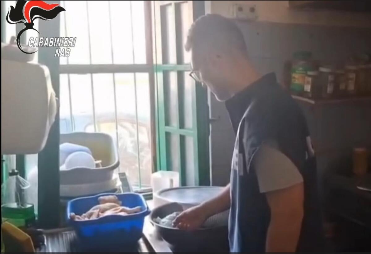 VIDEO - Chiuso un ristorante etnico per carenze igieniche. - 