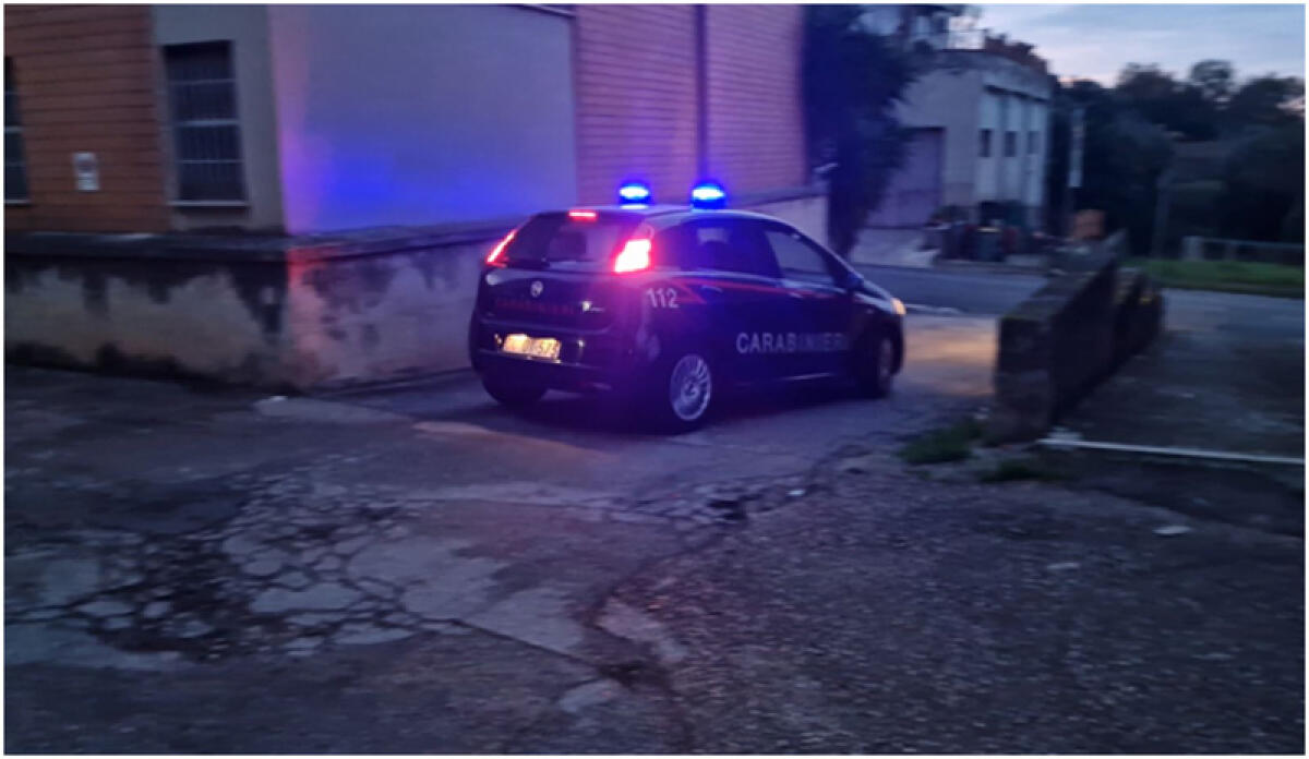 Minaccia alcuni cittadini con un coltello, i carabinieri denunciano 41enne - 