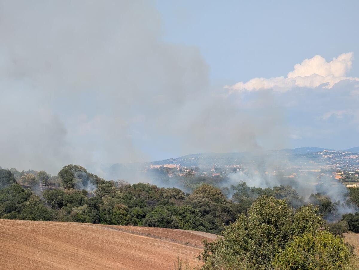 Incendio a Selva dei Pini, a Pomezia: in fiamme una parte di bosco e di sughereta. - 