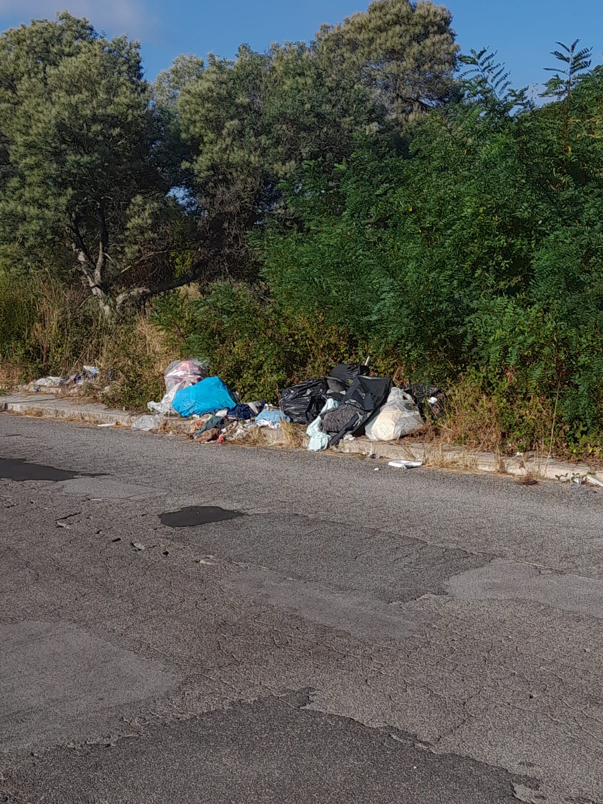 Aprilia, Via dei Pionieri Fondatori