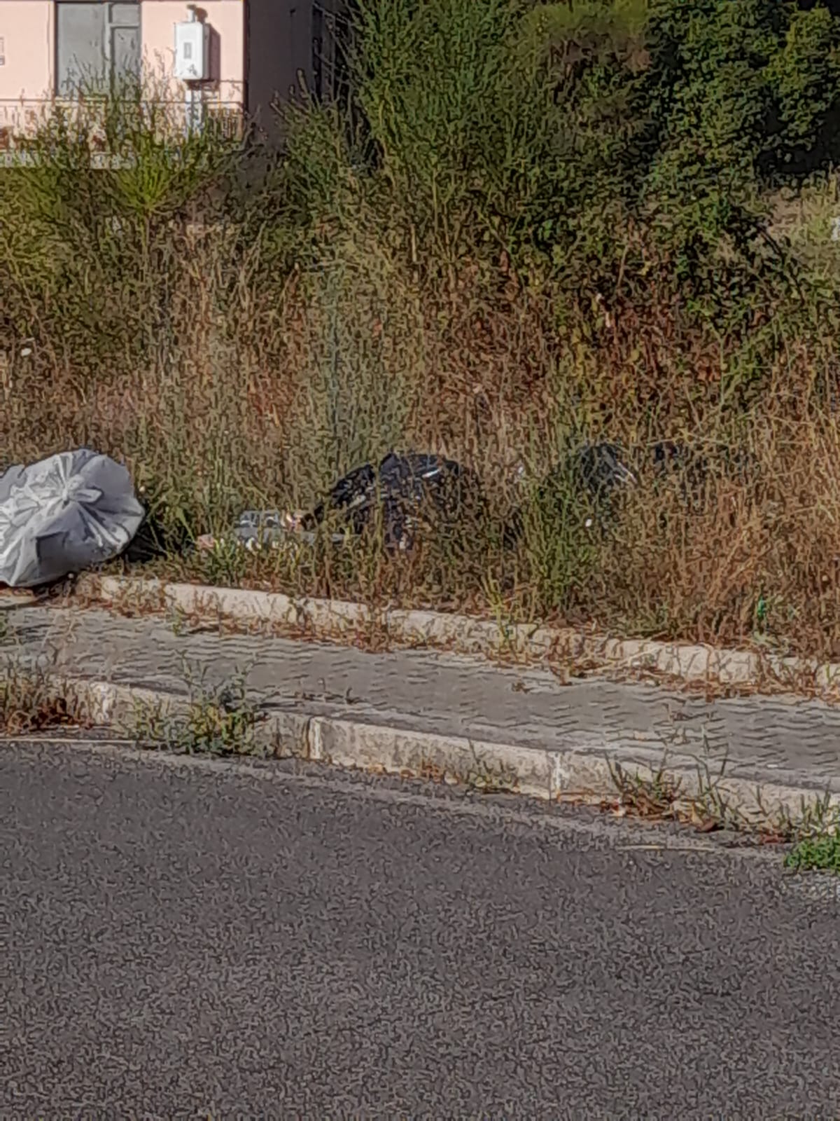 Aprilia, Via dei Pionieri Fondatori