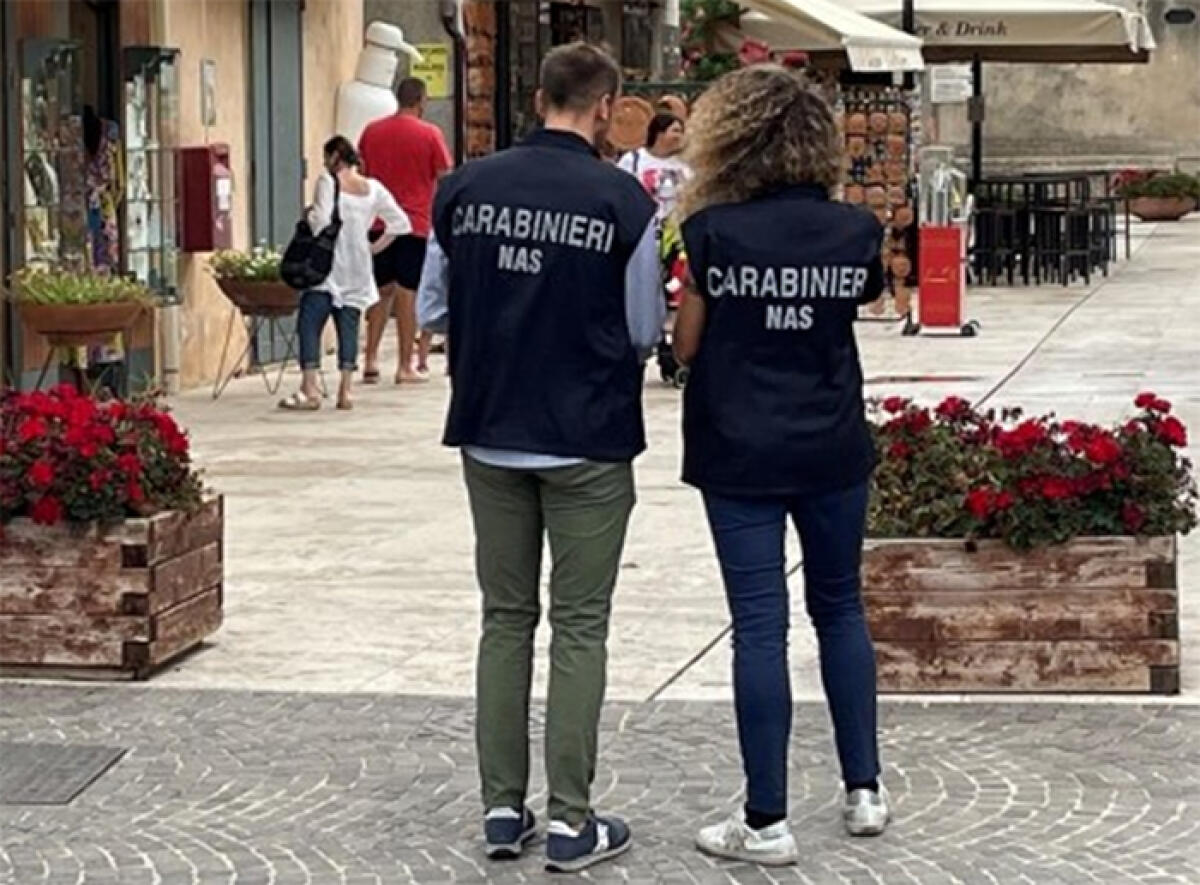 Blitz del Nas a Latina, Aprilia e in altri comuni del litorale. Sequestri e sanzioni per oltre 27mila euro. - 