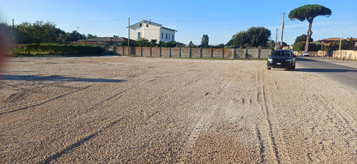 Anzio, sistemano a proprie spese il parcheggio della scuola "Collodi", interviene la Municipale. Il Comune: “rispetto delle regole”. - 