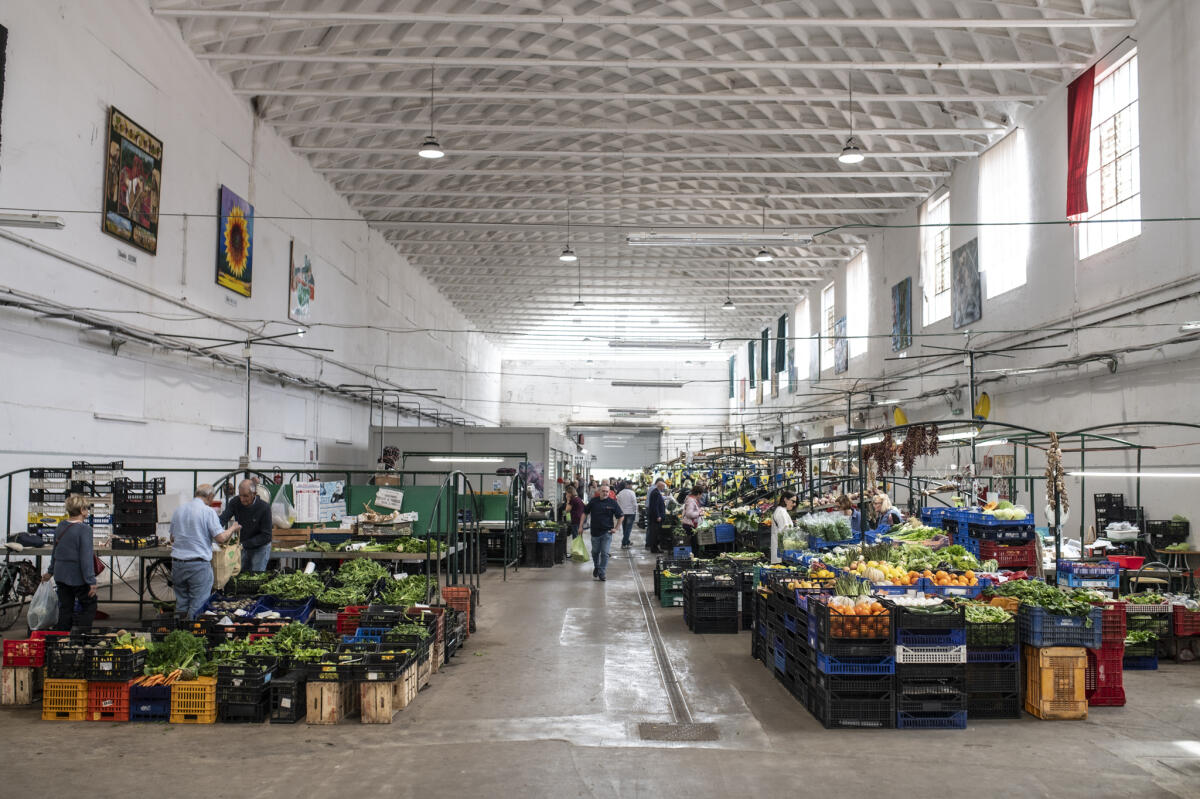 Ok al progetto per la riqualificazione del mercato annonario di via Don Minzoni a Latina - 