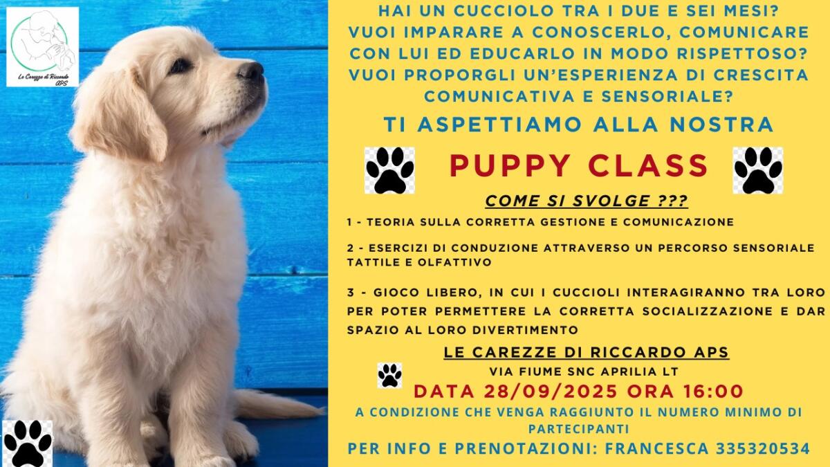 Incontro sulla Pet Therapy e prima "Puppy Class" ad Aprilia con l'associazione "Le Carezze di Riccardo". - 