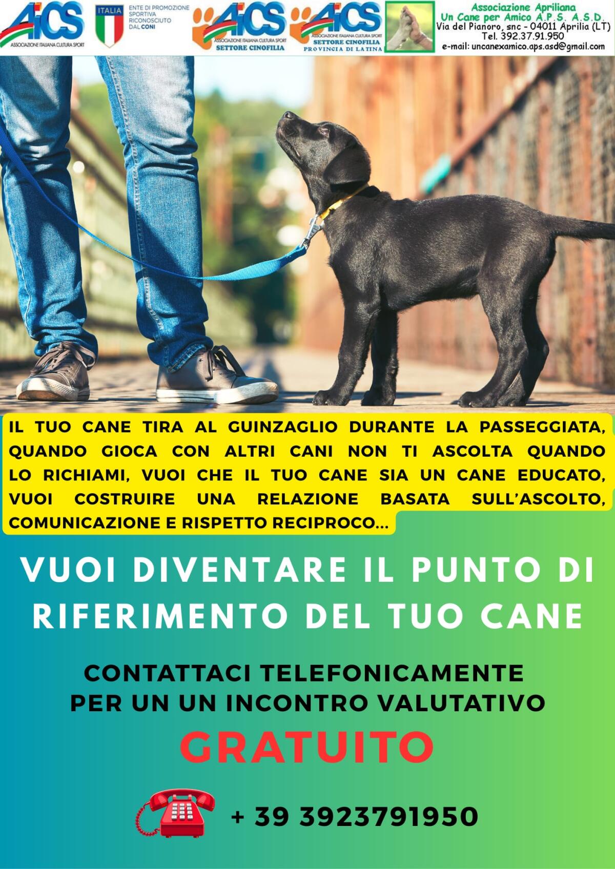Aprilia - "Un cane ben educato è un cane sereno", valutazione gratuita con l'associazione "Un cane per amico" - 