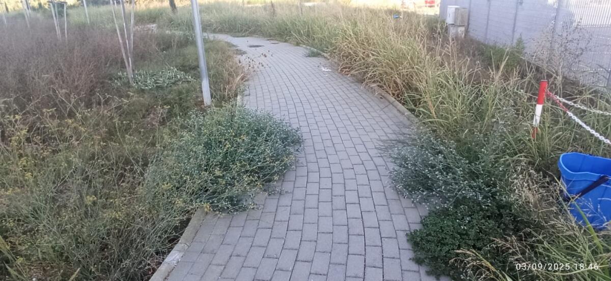 Aprilia, “Via Marsica, che abbandono!” La denuncia di Andrea Ragusa (M5S). - 