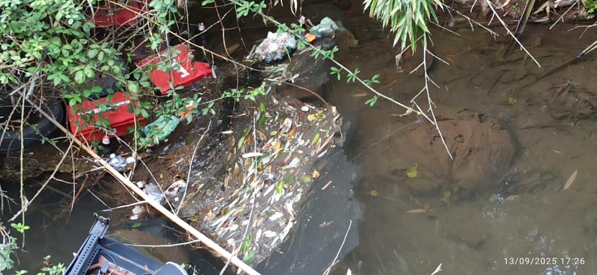 Aprilia -  Via delle Folaghe (Fossignano)nel degrado: "Rifiuti anche immersi nell'acqua e nel fango" - 