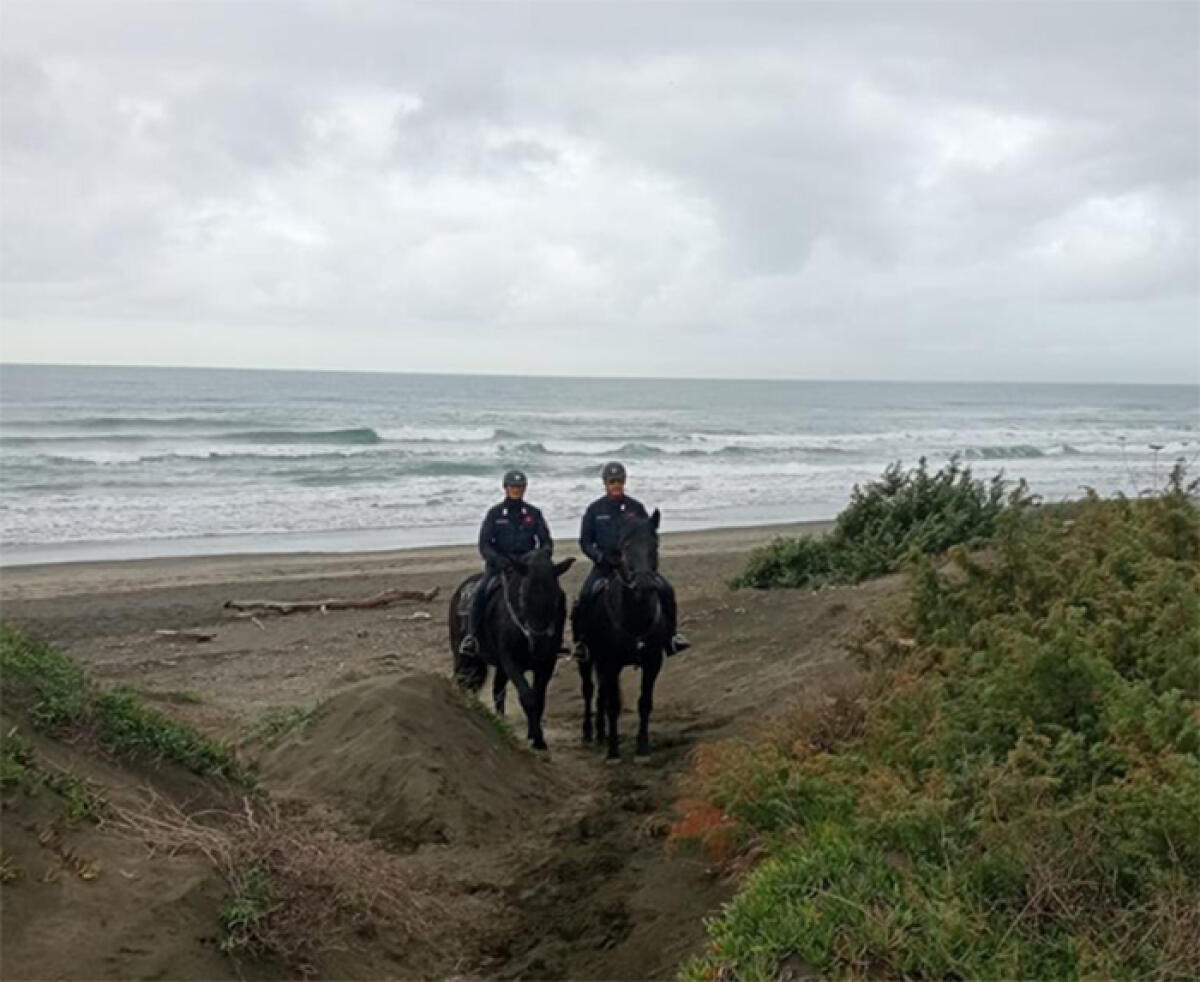 Salvaguardia del Parco Nazionale del Circeo: controlli del reparto a cavallo dei Carabinieri. Scattano le sanzioni. - 