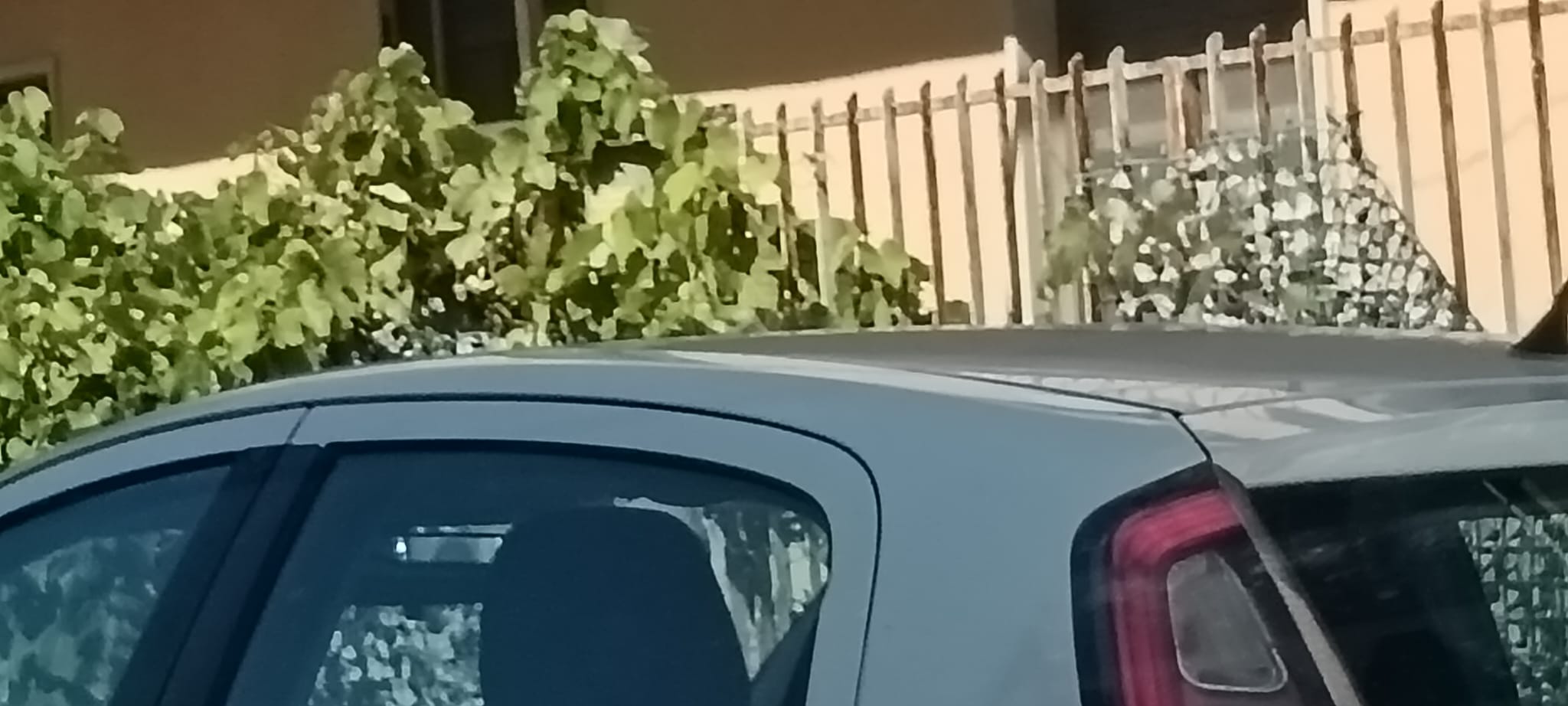 Via Muzio Scevola, a Latina, dove è avvenuto il delitto