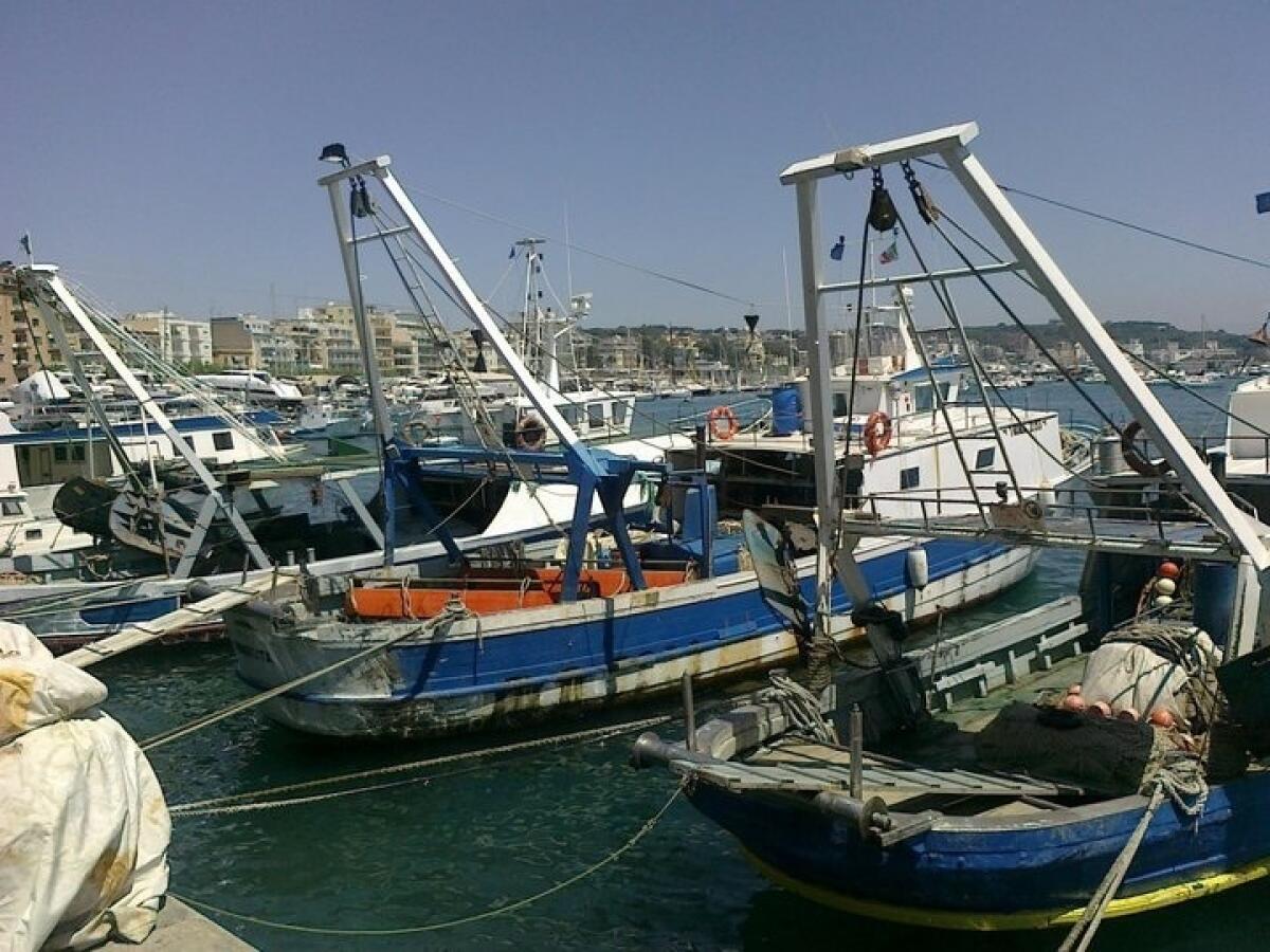 Proroga del fermo pesca, il sindaco di Anzio Lo Fazio: “Provvedimento inaccettabile, vicino alla nostra marineria”. - 