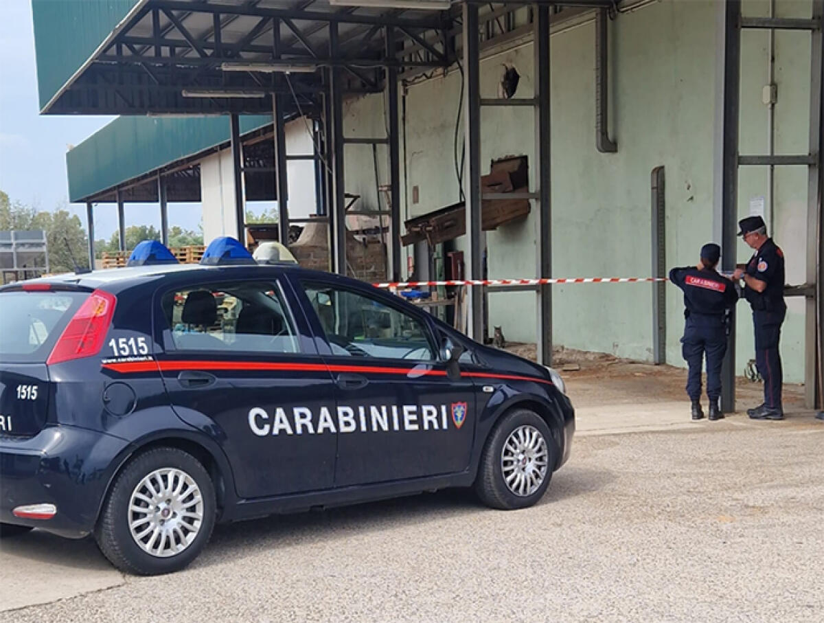 Sequestrato a Sabaudia uno stabilimento per la fabbricazione del pellet. Operazione del Nucleo Carabinieri Forestale. - 