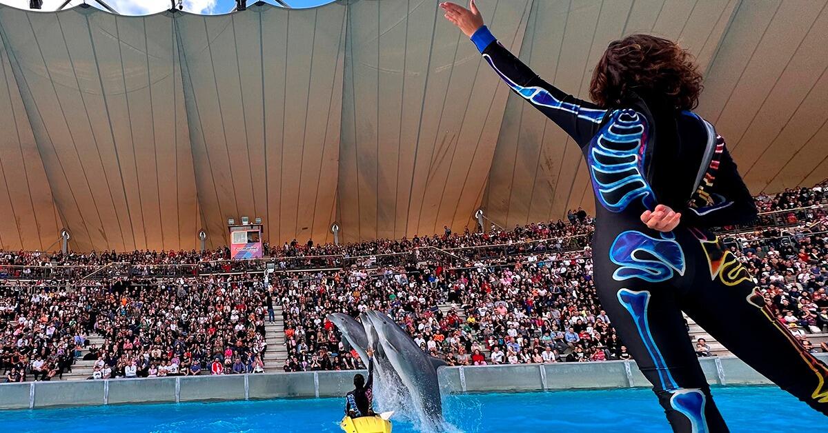 Al via l'Halloween anti - bullismo di Zoomarine. Tra "divertimento e paura" il tributo a Mercoledi Addams - 