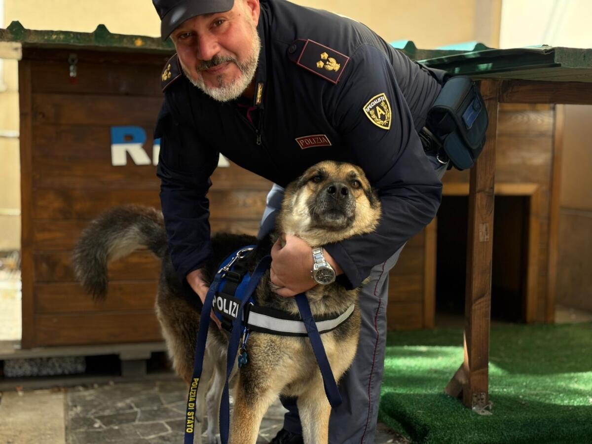 Progetto “Scuole Sicure” con un ospite d’eccezione: Rex e le telecamere di “Dalla parte degli animali”. - 