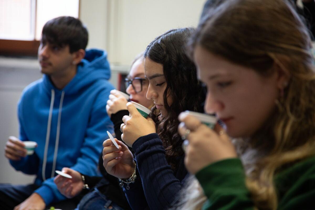 Olive e Olio EVO biologici europei protagonisti a Roma: EcceBio ed EvooSchool formano i professionisti di domani. - 