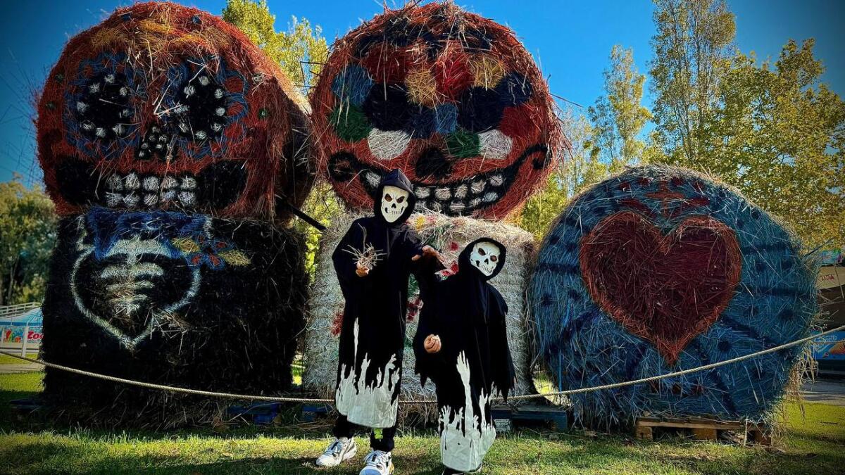 Halloween ha il valore dell'unicità a Zoomarine con il Festival "Fantastica...Mente" e la Maratona Mario Kart World gratuita - 