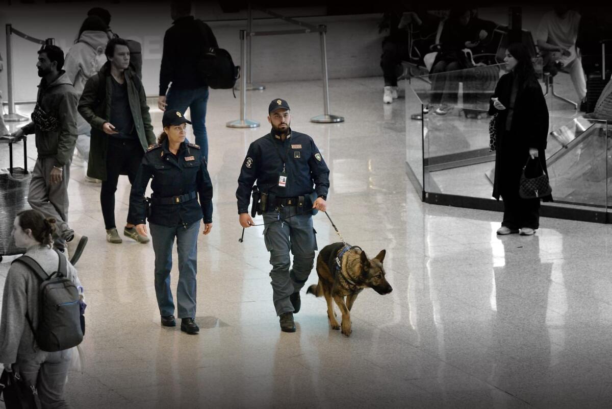 48 ovuli di cocaina purissima nello stomaco: corriere in manette all’aeroporto di Fiumicino. - 