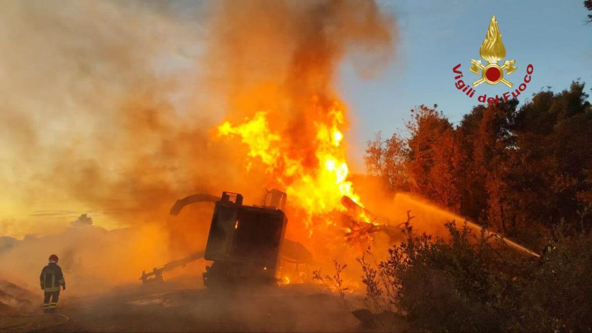 Fiamme all’interno della pineta di Castel Fusano. Al lavoro anche i vigili del fuoco di Pomezia e Nemi. - 