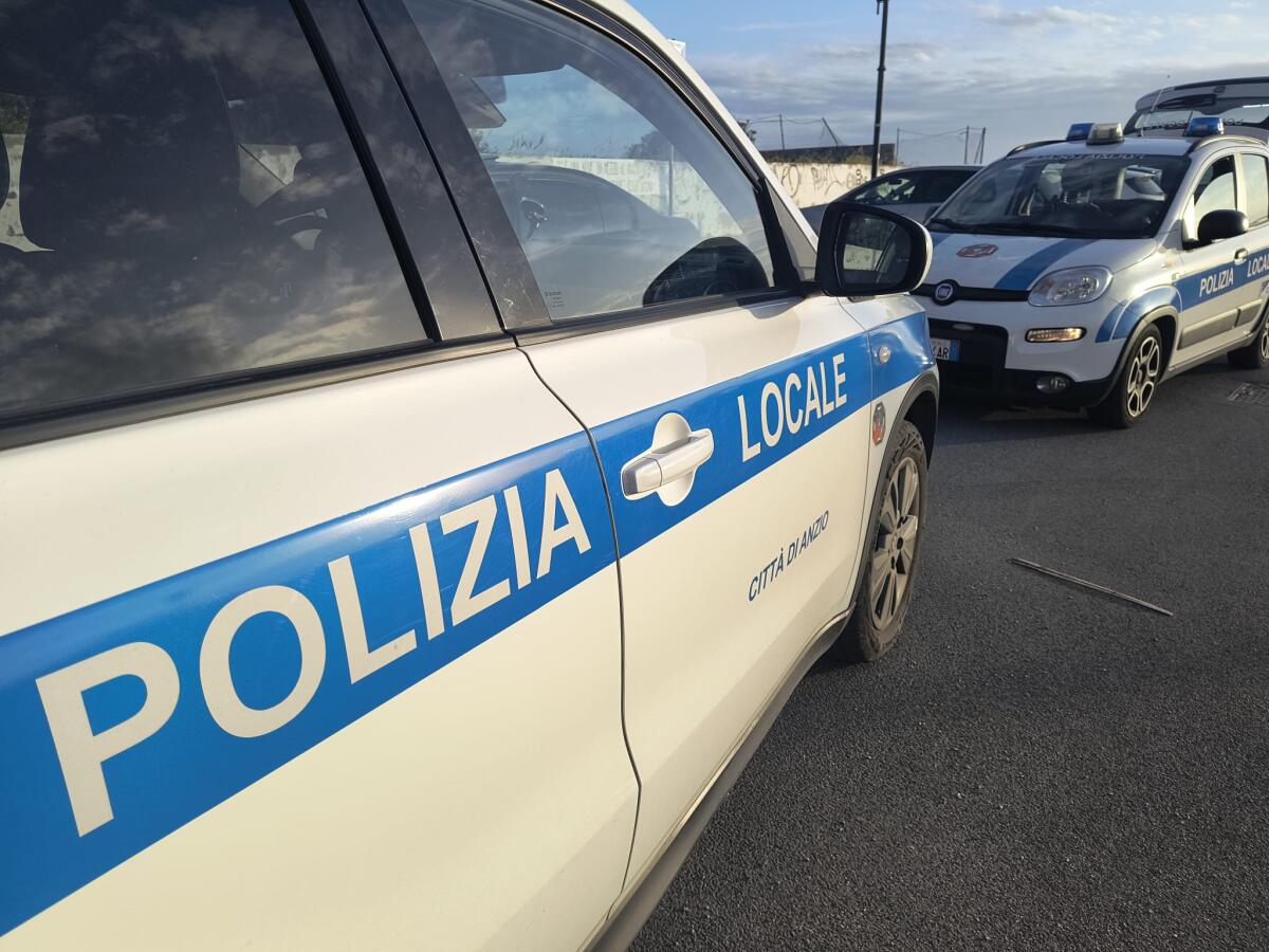 Anzio, cani abbandonati in un appartamento occupato abusivamente. Interviene la Polizia locale. - 