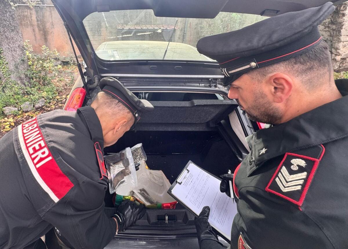 Giardiniere pusher arrestato dai carabinieri di Castel Gandolfo - 