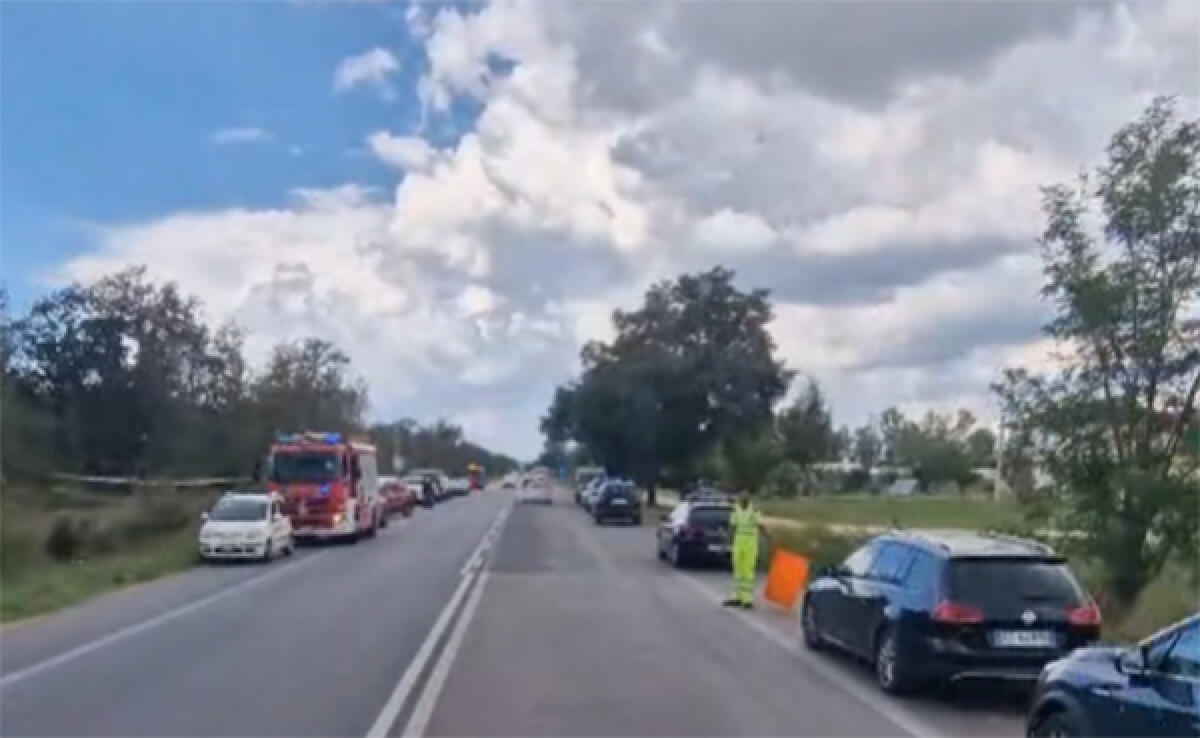 Incidente aereo a Sabaudia: una testimone ha visto cadere il velivolo nel bosco del Parco Nazionale. - 