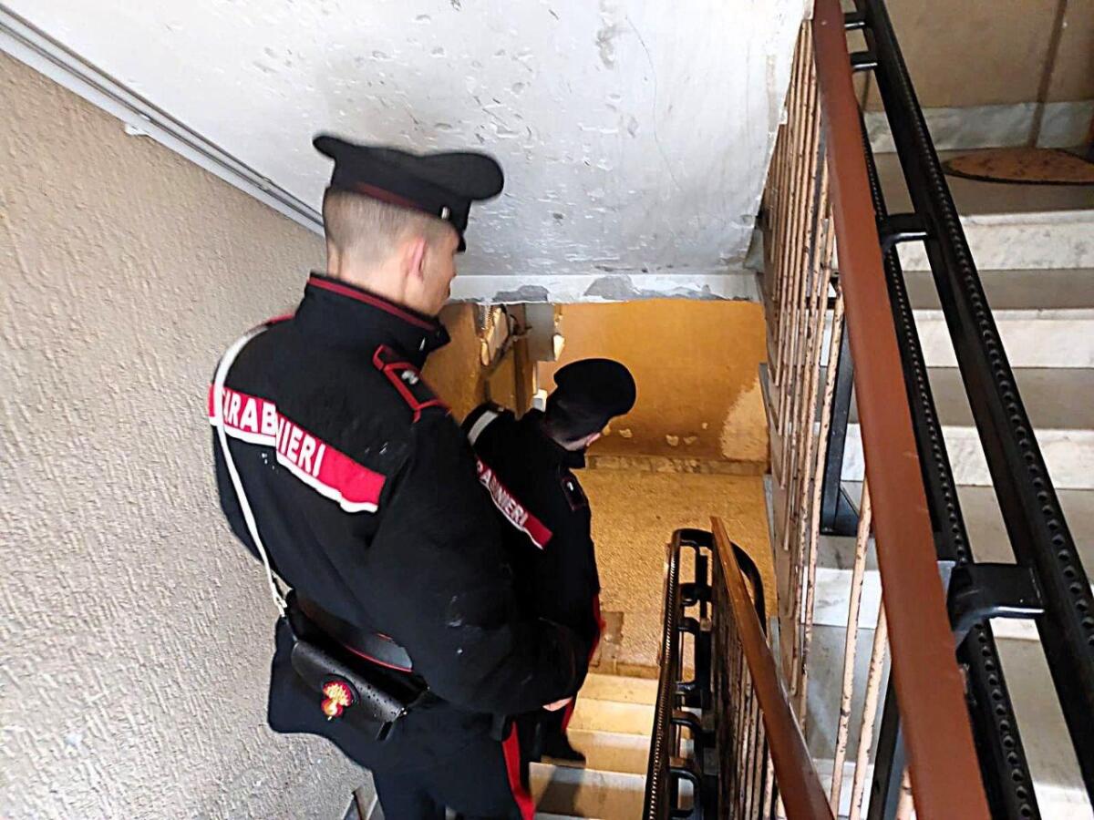 Droga, armi e munizioni in casa. Un 55enne in arresto ai Castelli Romani. - 