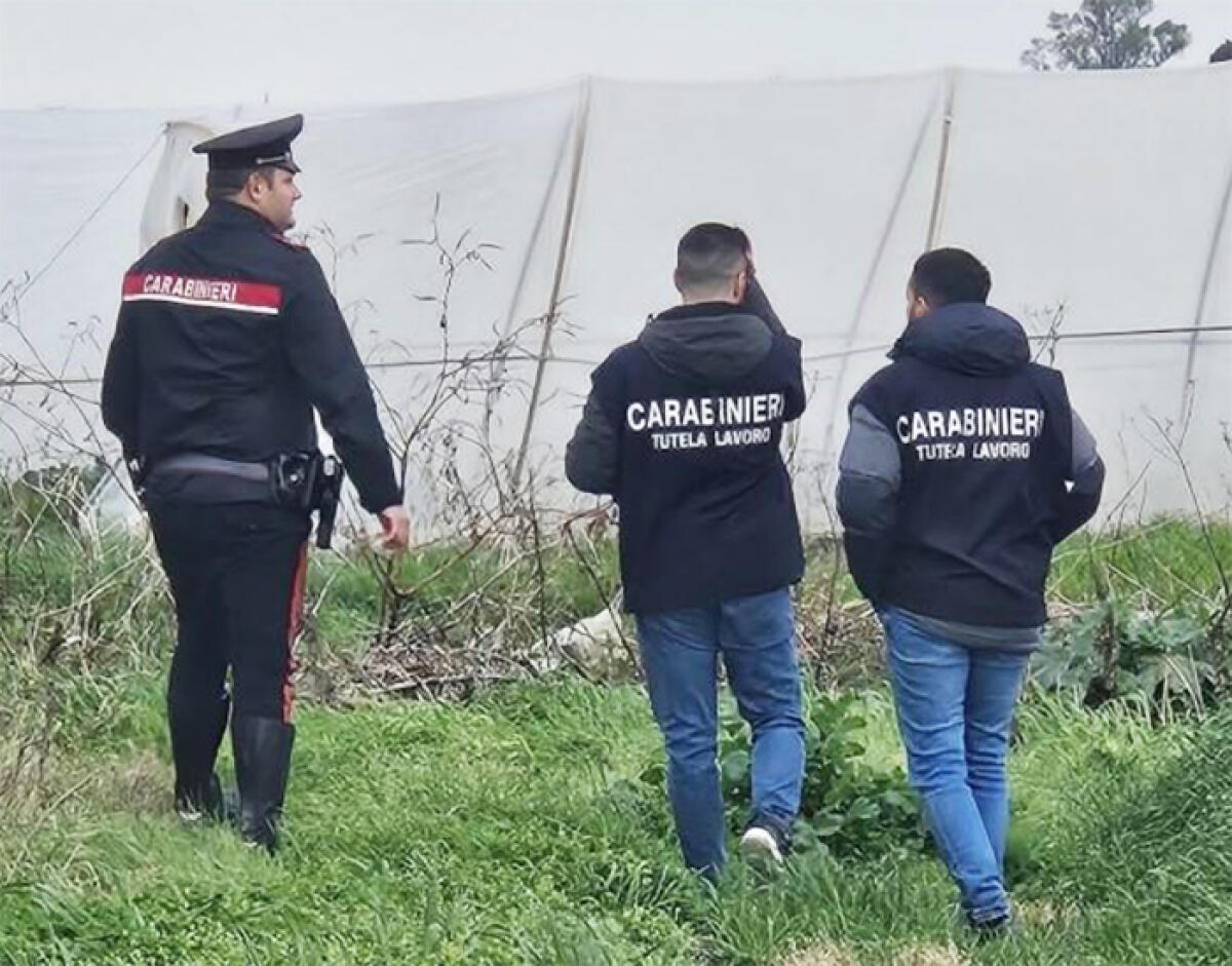 Sospesa l’attività di un’azienda agricola pontina: su 8 lavoratori controllati, due non erano in regola. - 