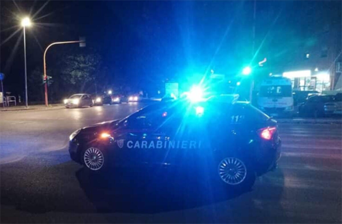 FUGGE DAI CARABINIERI A BORDO DI UN AUTOCARRO CON LA GRU E L’ESCAVATORE RUBATI - 