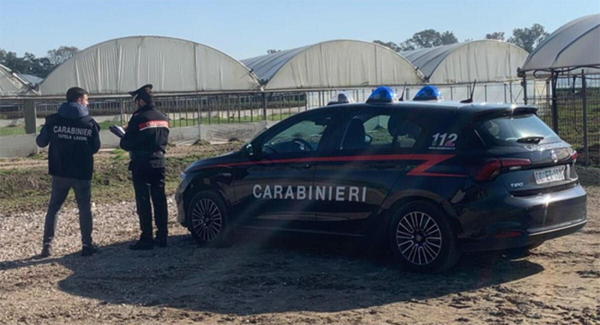 Lavoro nero, blitz dei Carabinieri in un’azienda ortofrutticola di Terracina. Denuncia e sanzioni per il titolare. - 
