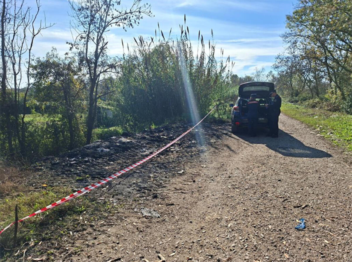 Dà fuoco ad un’ingente quantità di rifiuti in un’area demaniale. Viene denunciato dai Carabinieri del Gruppo Forestale. - 
