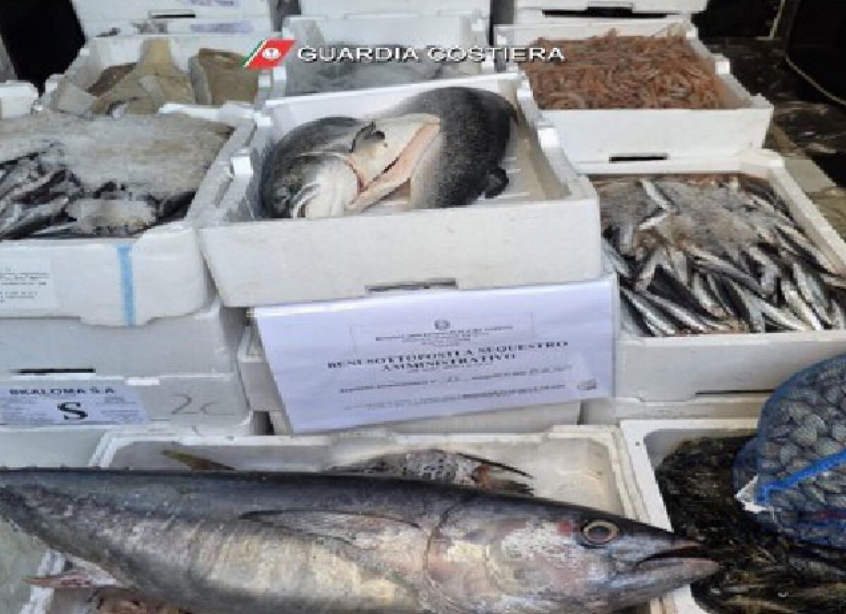 200 chili di prodotti ittici senza etichette sotto sequestro a Sabaudia - 