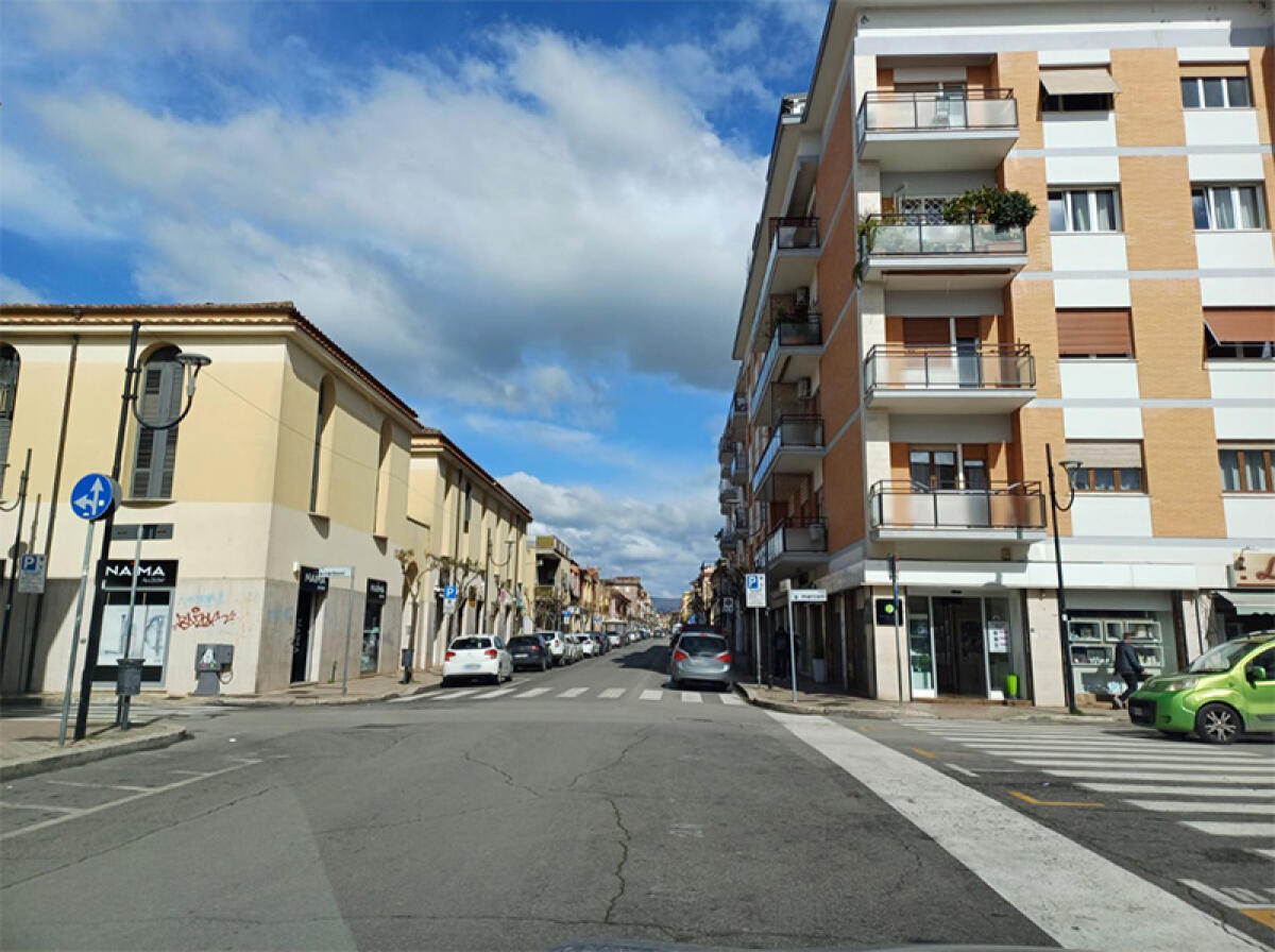 Aprilia, partono i lavori di potatura degli alberi. Si parte dal centro. Ecco le strade interessate ed i divieti di sosta. - 