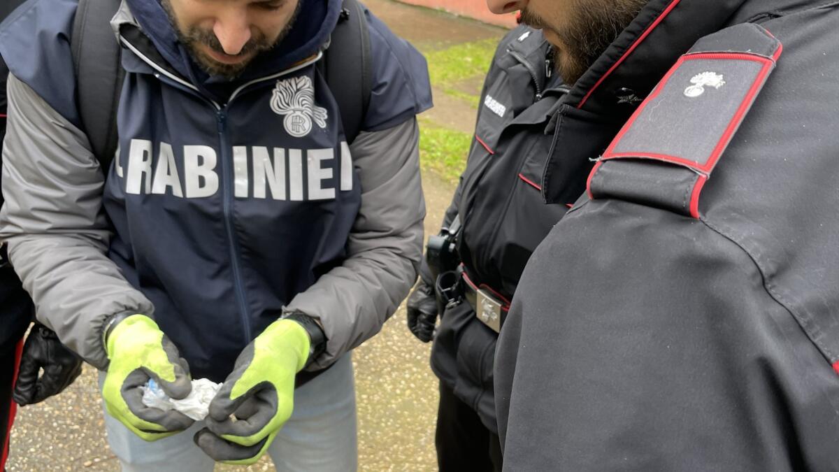 18 arresti per droga e centinaia di dosi sotto sequestro. Operazione dei Carabinieri del Comando Provinciale di Roma. - 